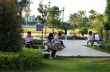学生自主学习