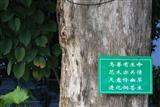 校园小景之一